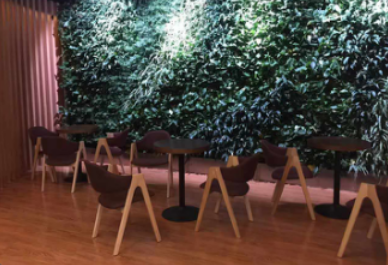 威格健身歲末感恩回饋 活力無限，健康同行